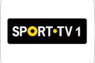 Sport TV1